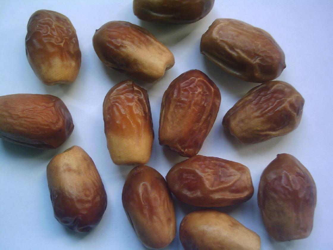 zahedi70.jpg